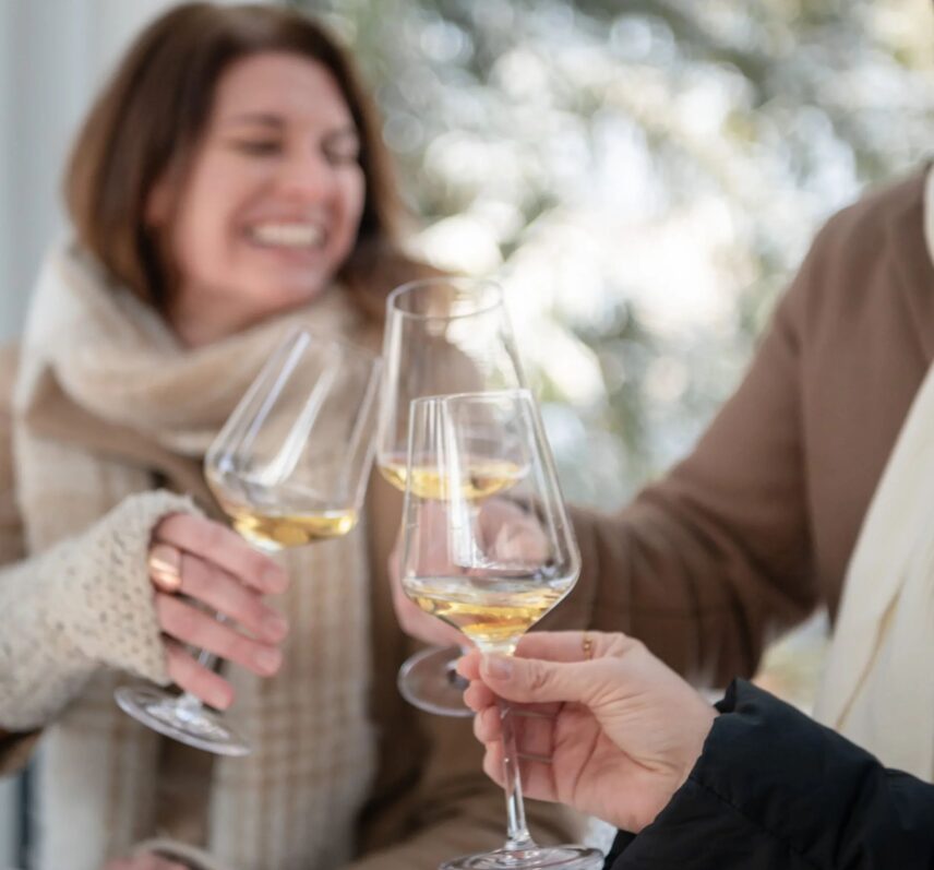 Icewine Discovery Pass tasting experiences at Niagara-on-the-Lake Wineries