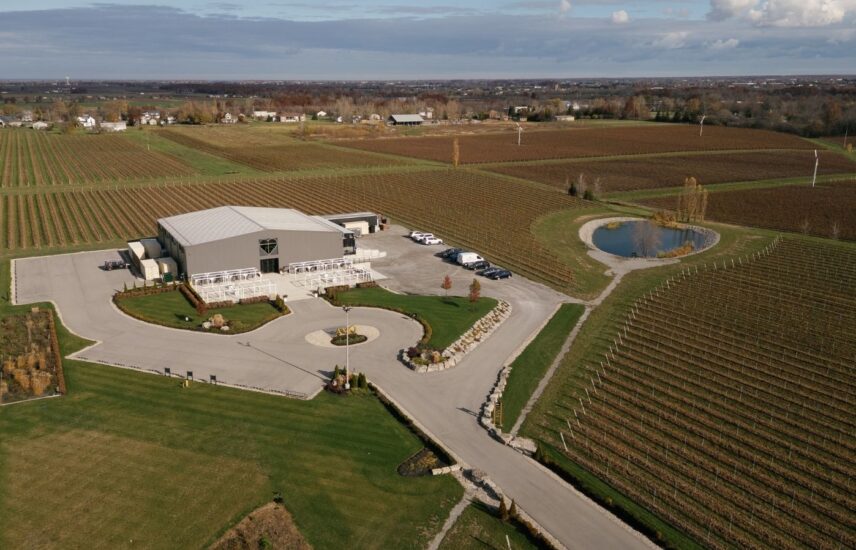 Amo Estate Winery Wedding Venue in Niagara on the Lake