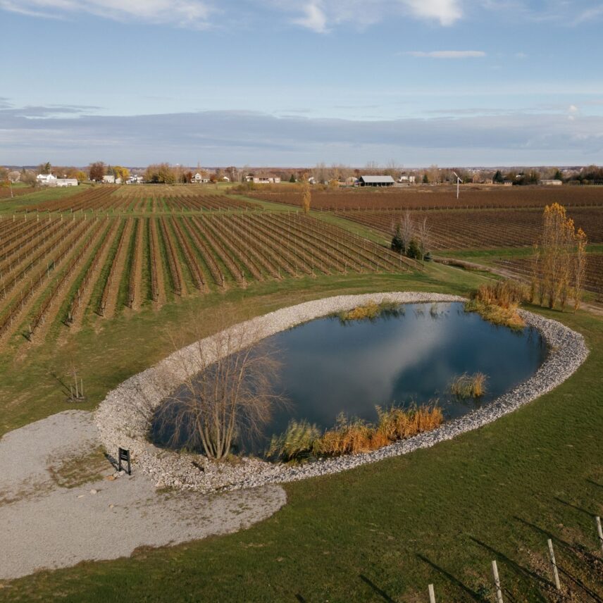 Vineyard wedding ceremony beside a pond at Amo Estate Winery in Niagara on the Lake