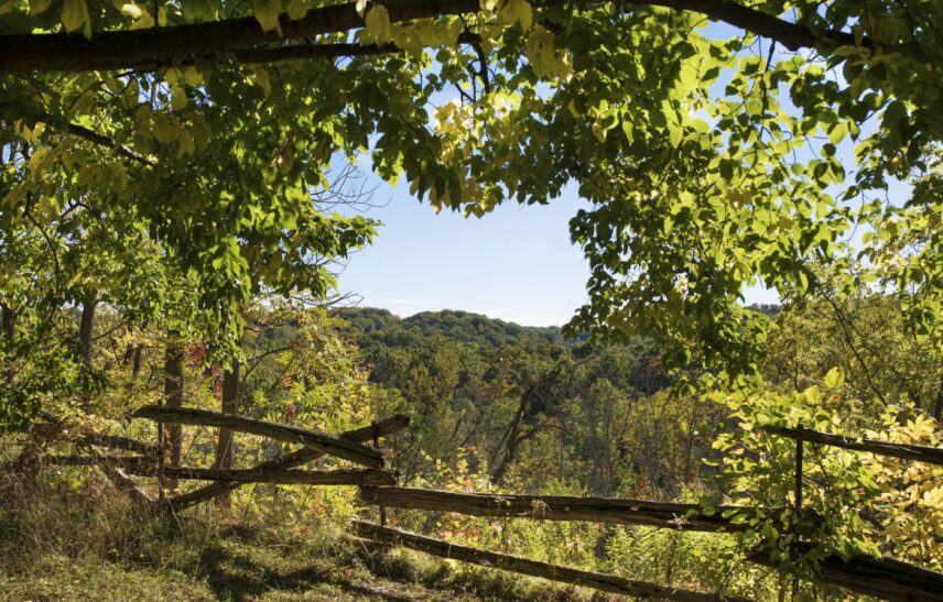 Hiking trail through the Twenty Valley with escarpment and vineyard views
