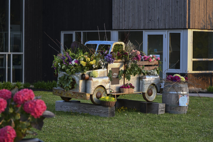 Floral truck installation with colourful flowers on display during Niagara-on-the-Lake In Bloom festival