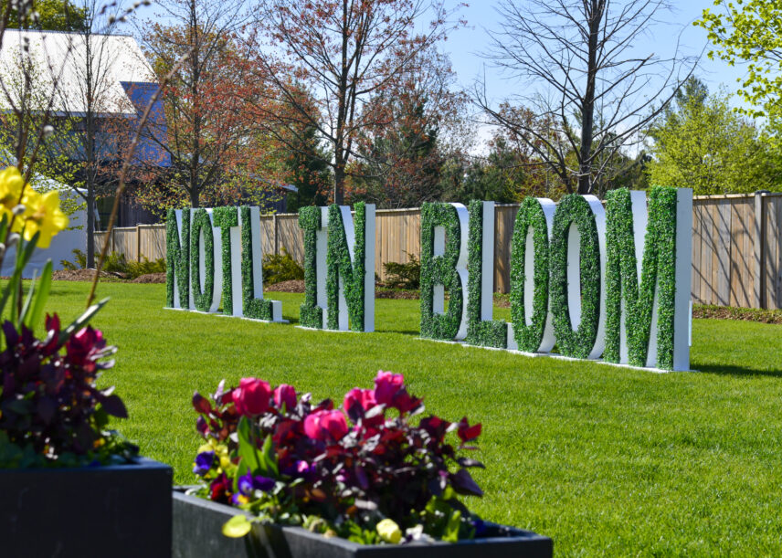 Niagara-on-the-Lake In Bloom festival with Vintage Hotels