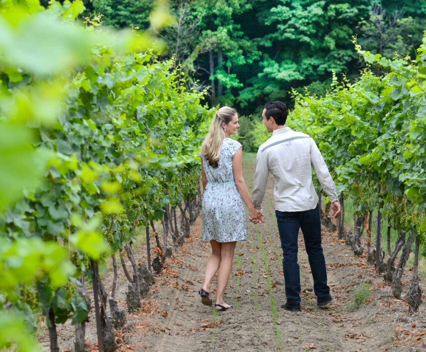 A couple strolling between vines in the Niagara Benchlands.