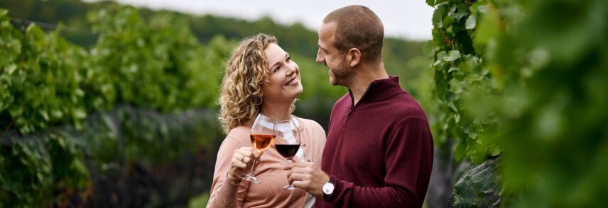 Savour a glass of wine among the vines in the Niagara Benchlands.