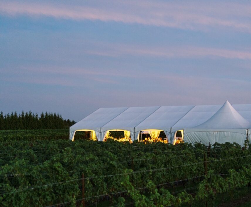 Bella Terra Vineyards Wedding Tent