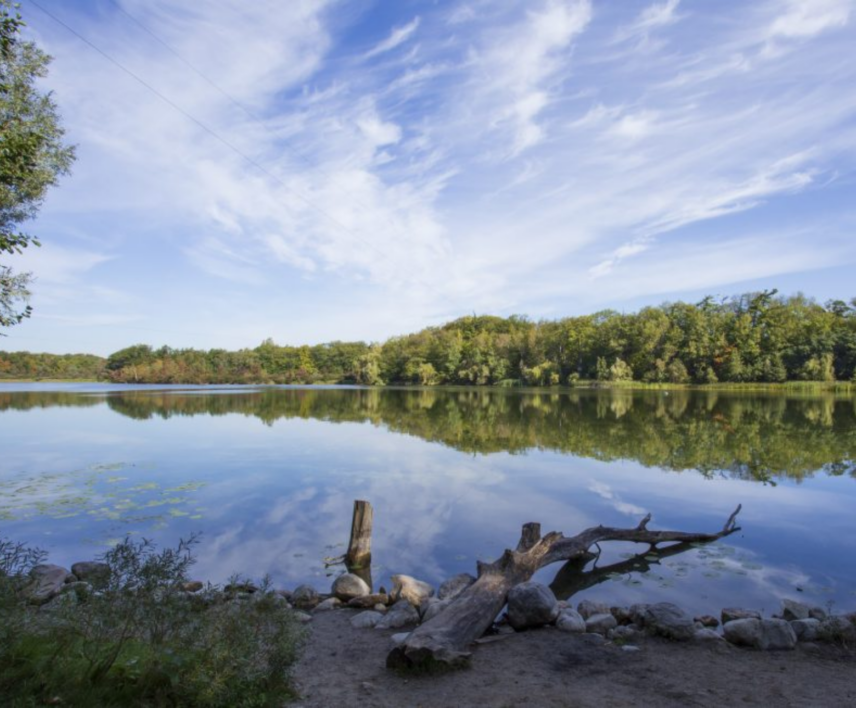 Fishing Pond with Rainbow Trout at Glen Haffy Conservation Area in Caledon, Ontario
