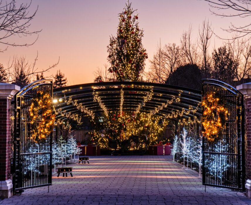 The promenade in The Gardens at Pillar and Post during the Vintage Hotels Christmas Market.